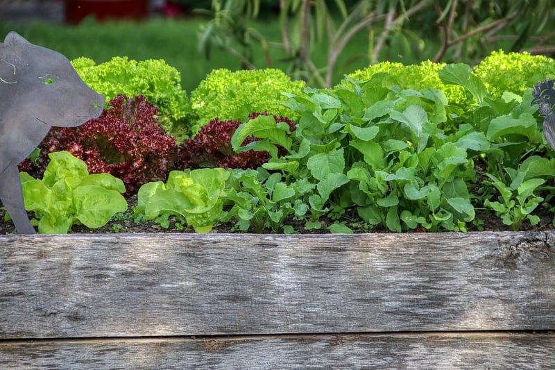 Raised beds