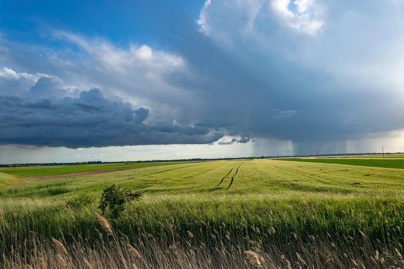 Crop Yield