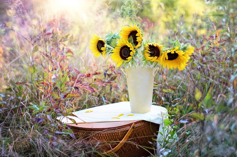 Pruned Flower Plant